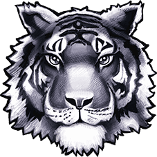 Twinsburg High School