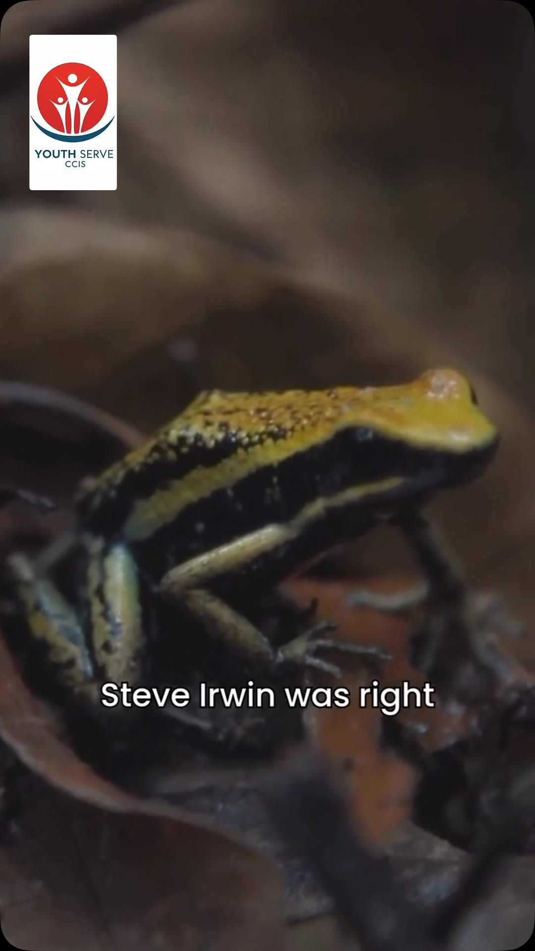 Get out and explore! Carry this spirit with you every day. #youthserveccis