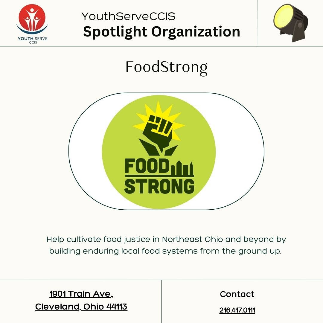 ✨YouthServe Spotlight✨